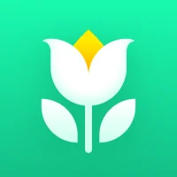 Plant Parent-Guia de Cuidados